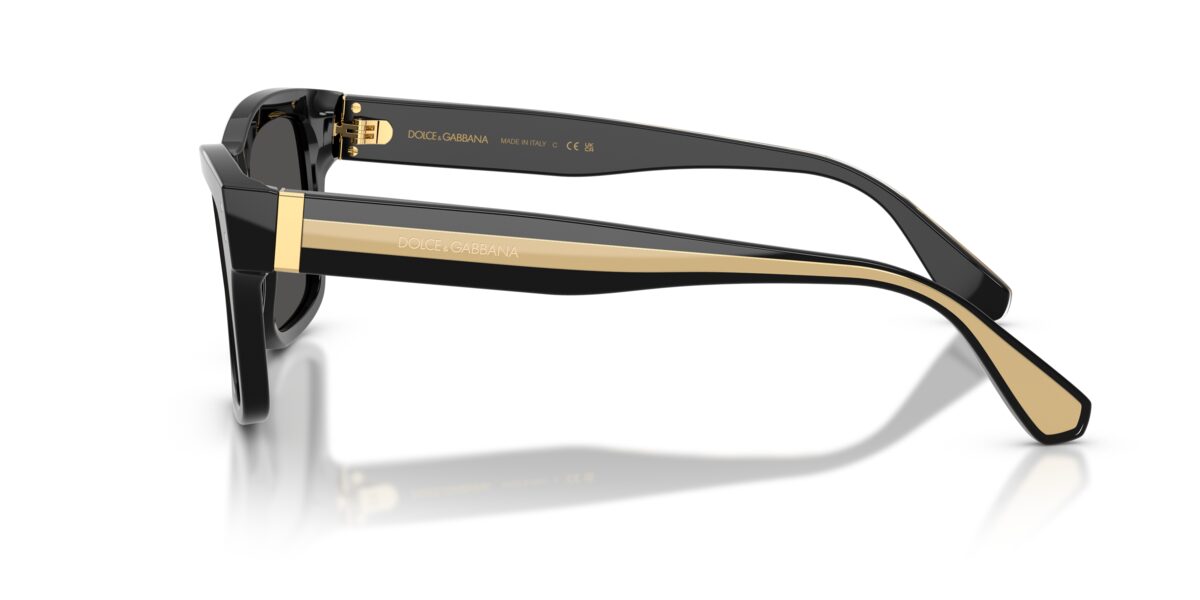 Dolce & Gabbana DG4559 501/87