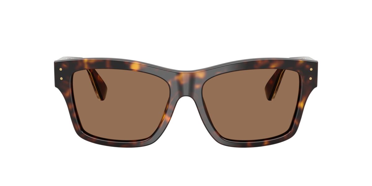 Dolce & Gabbana DG4559 502/73