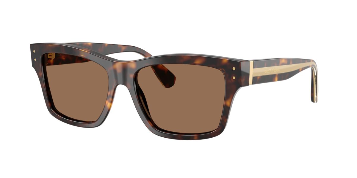 Dolce & Gabbana DG4559 502/73