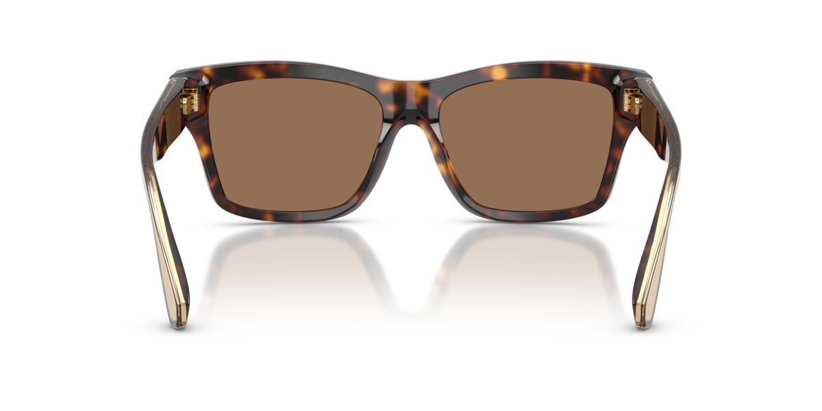 Dolce & Gabbana DG4559 502/73