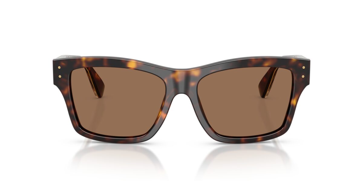 Dolce & Gabbana DG4559 502/73