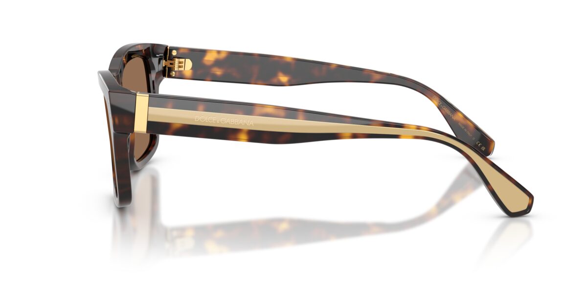 Dolce & Gabbana DG4559 502/73