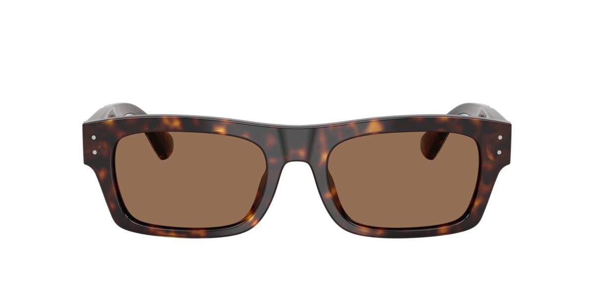 Dolce & Gabbana DG4560 502/73