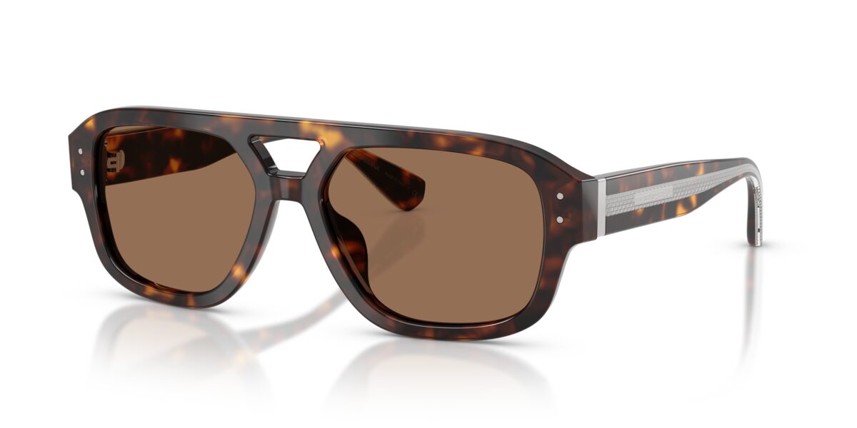 Dolce & Gabbana DG4561 502/73