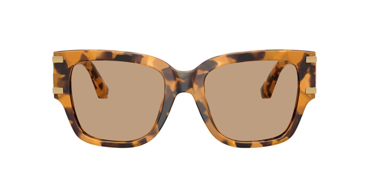 Dolce & Gabbana DG4563 349663