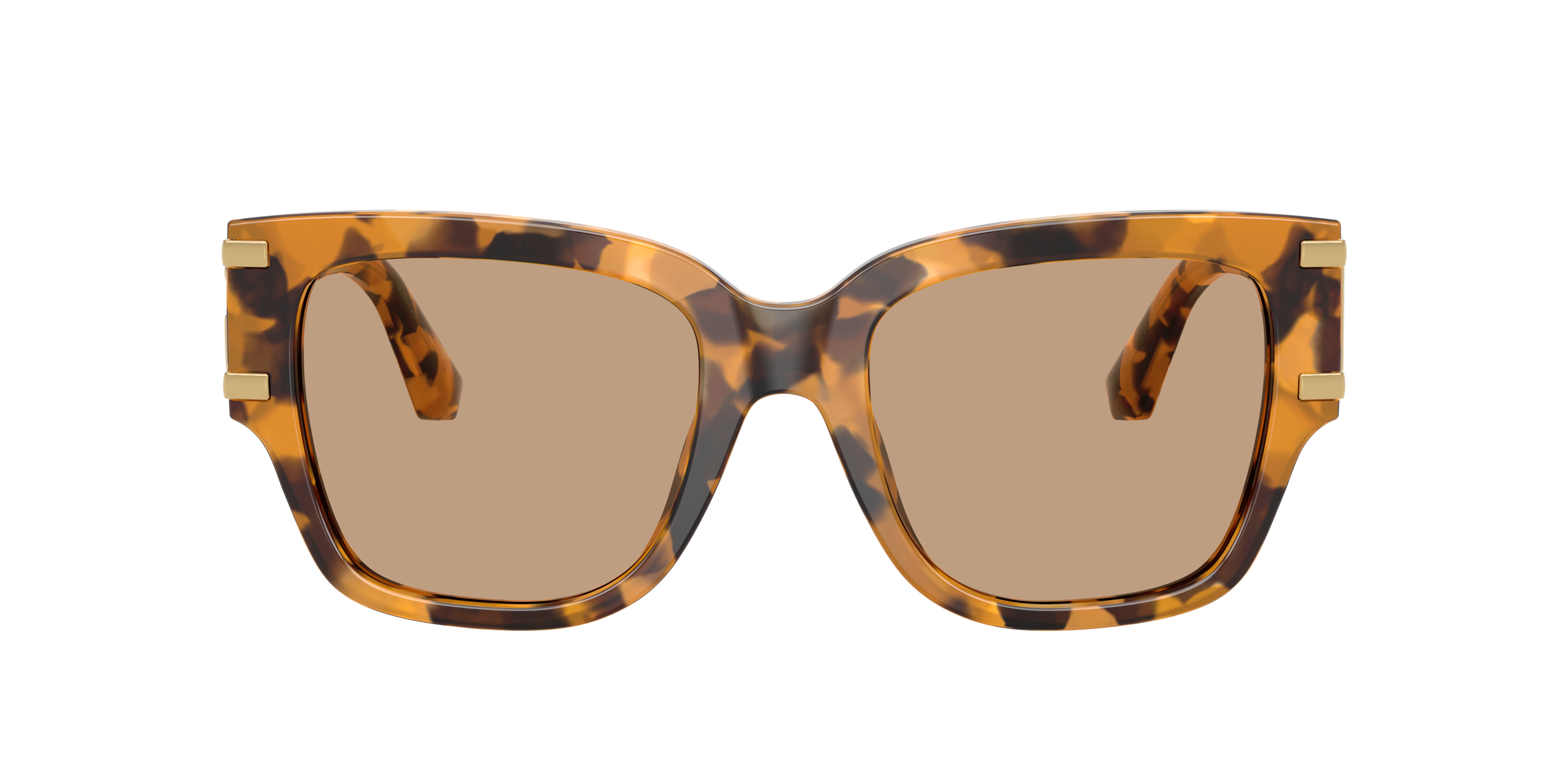 Dolce & Gabbana DG4563 349663