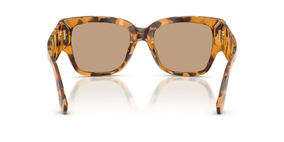 Dolce & Gabbana DG4563 349663