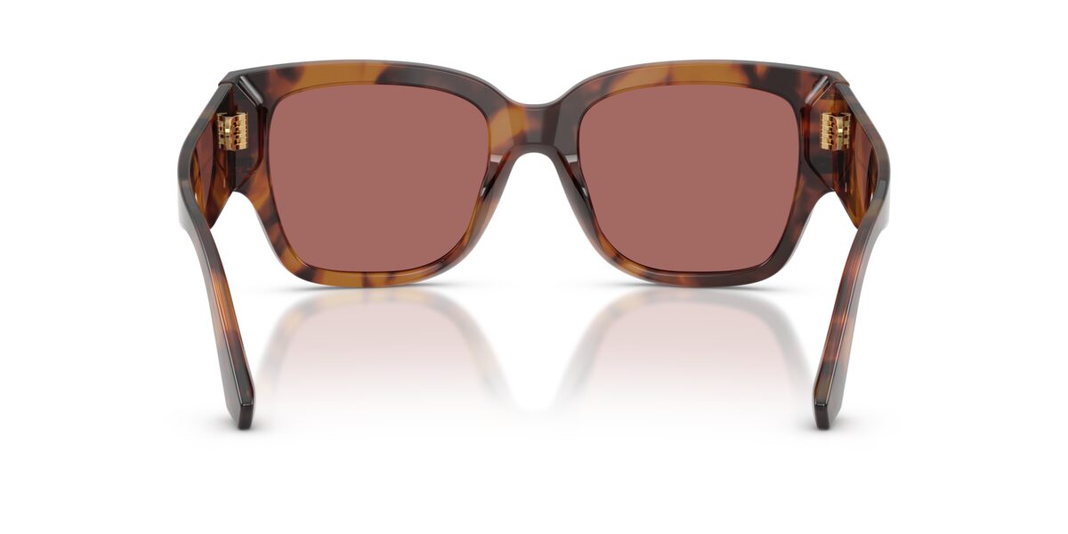 Dolce & Gabbana DG4563 349769