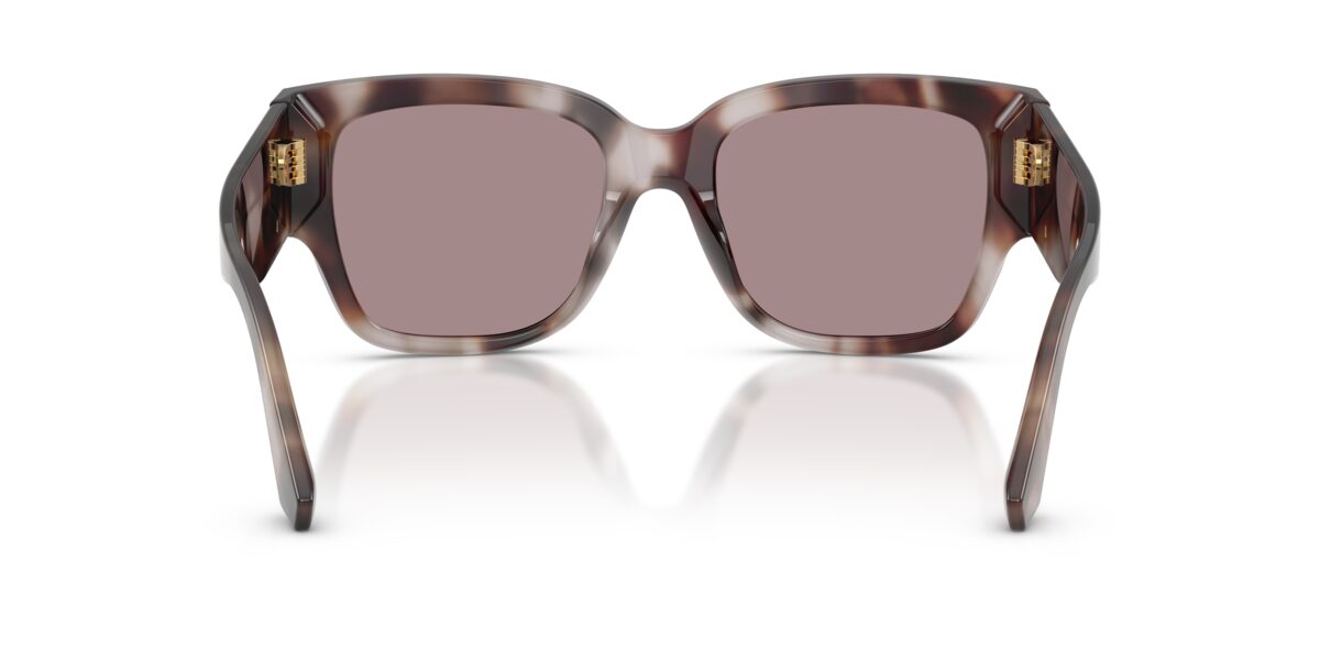 Dolce & Gabbana DG4563 3498LA