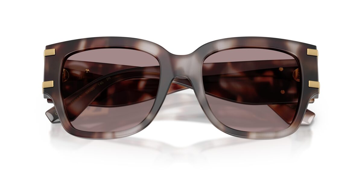 Dolce & Gabbana DG4563 3498LA