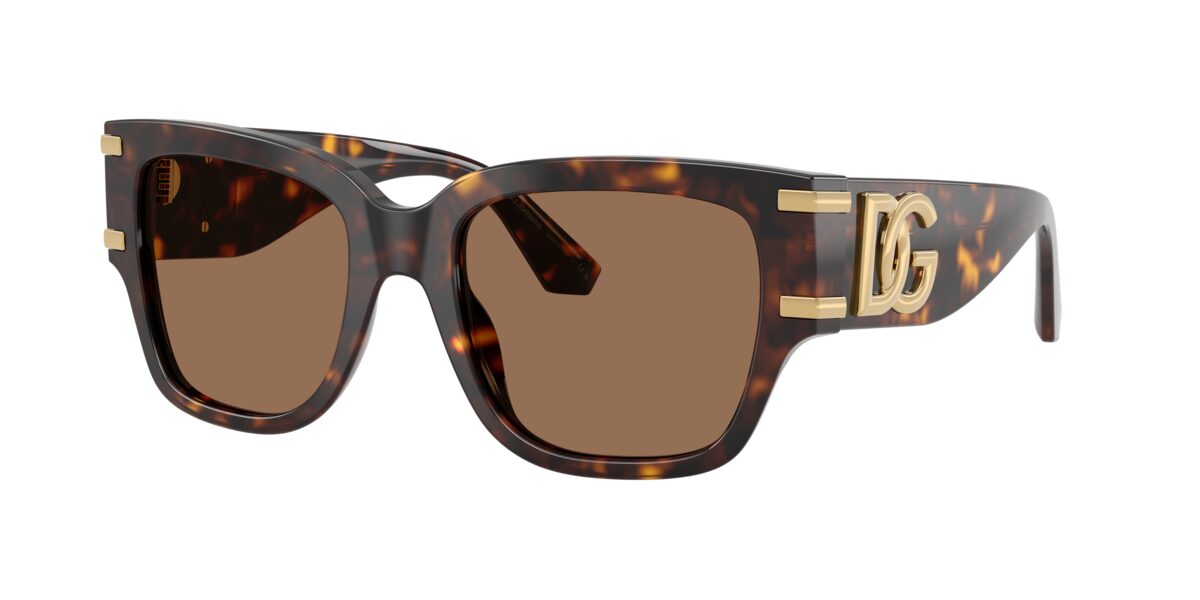 Dolce & Gabbana DG4563 502/73