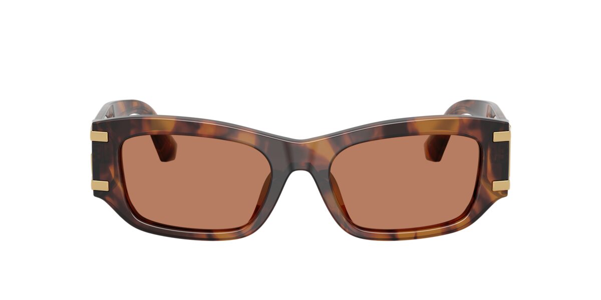 Dolce & Gabbana DG4564 3497/3