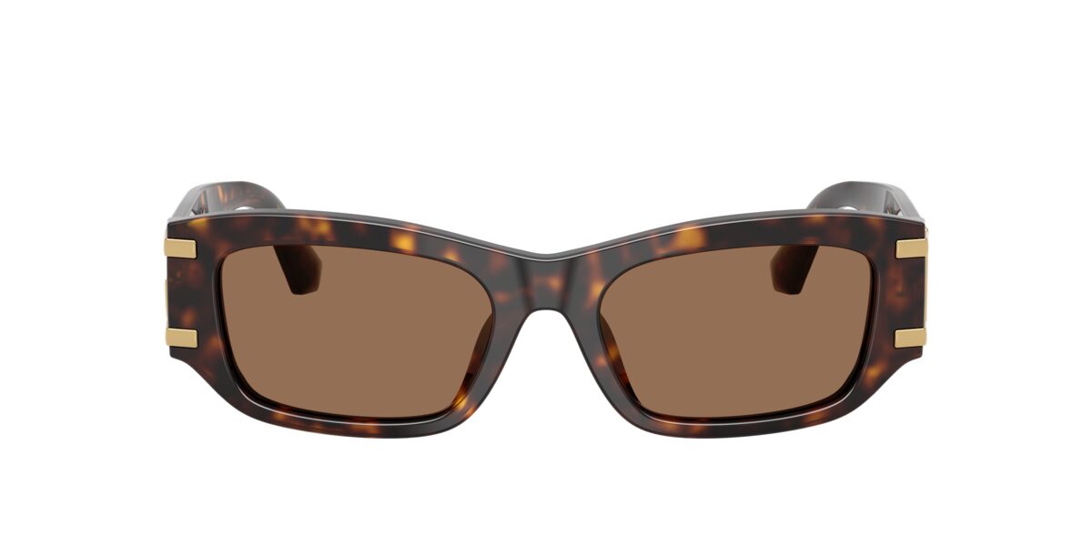 Dolce & Gabbana DG4564 502/73