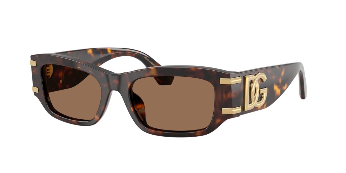 Dolce & Gabbana DG4564 502/73