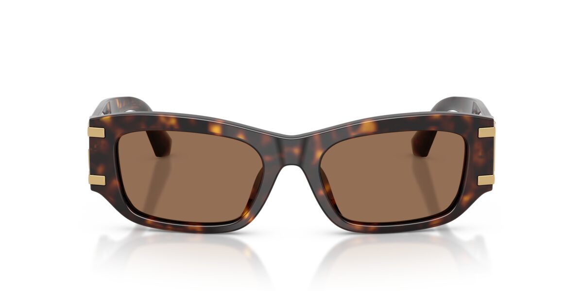 Dolce & Gabbana DG4564 502/73