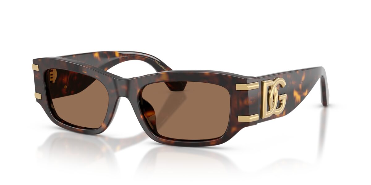 Dolce & Gabbana DG4564 502/73