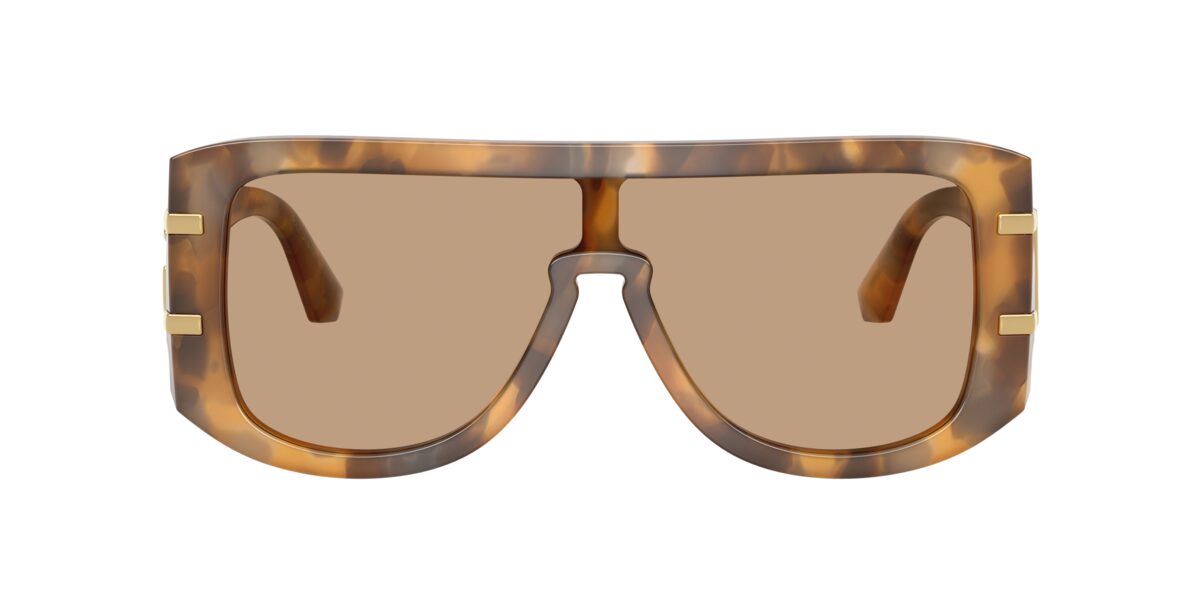 Dolce & Gabbana DG4565 349663