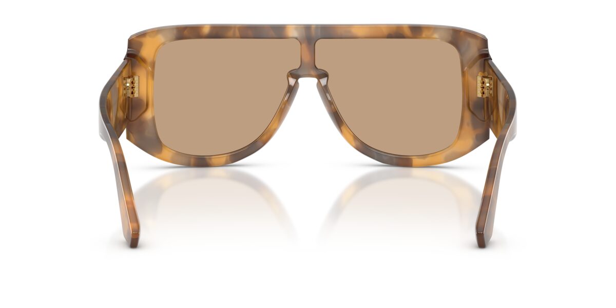 Dolce & Gabbana DG4565 349663