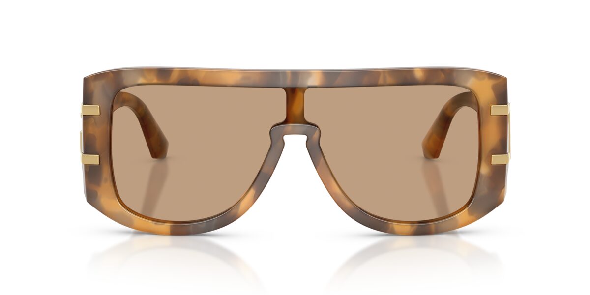 Dolce & Gabbana DG4565 349663