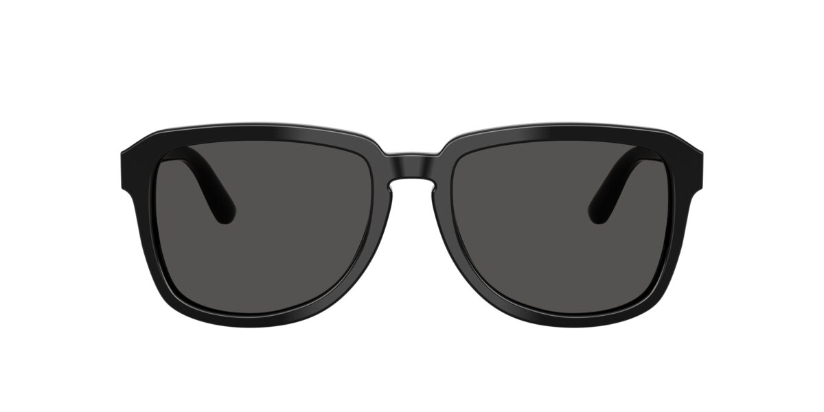 Dolce & Gabbana DG4566 501/87