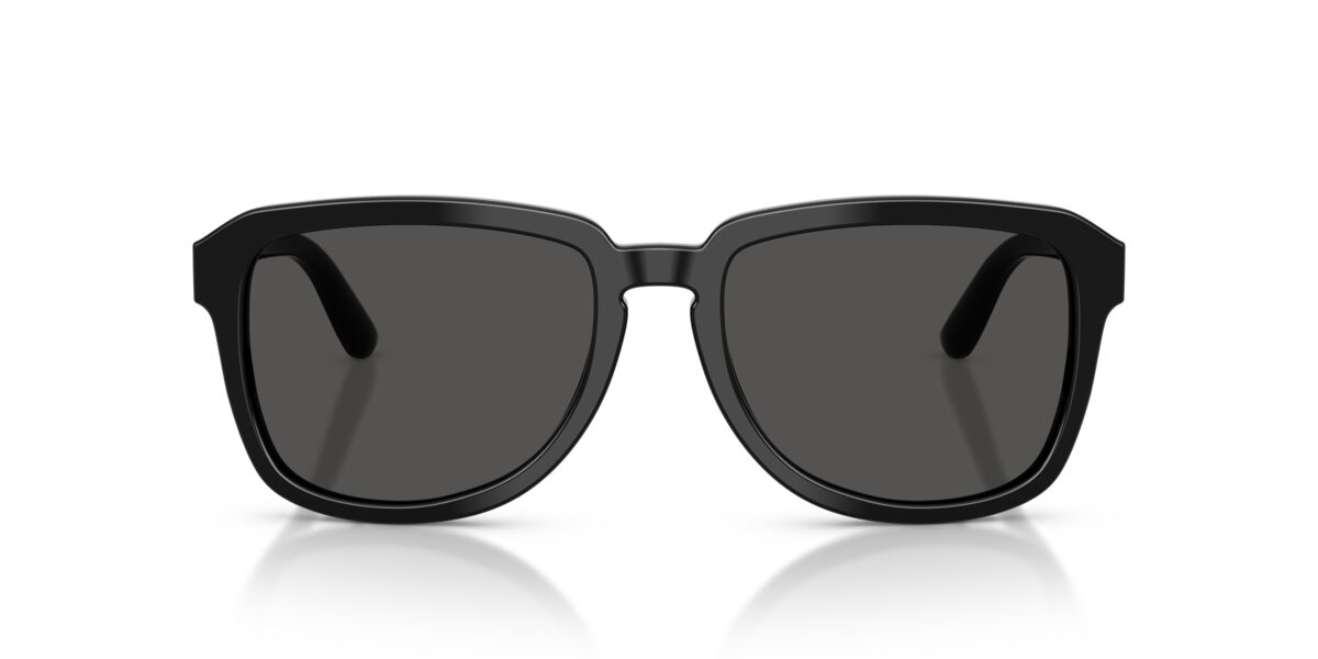Dolce & Gabbana DG4566 501/87