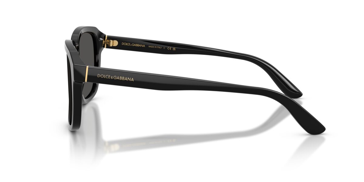 Dolce & Gabbana DG4566 501/87