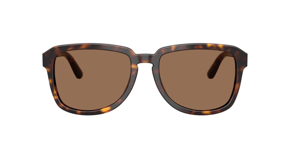 Dolce & Gabbana DG4566 502/73