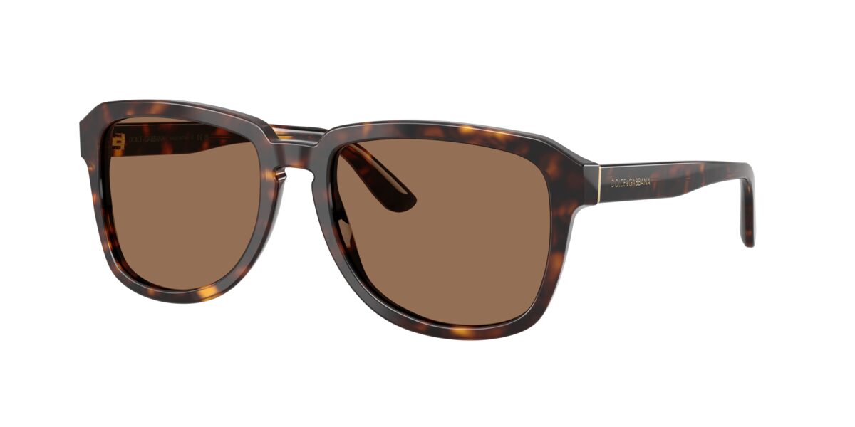 Dolce & Gabbana DG4566 502/73