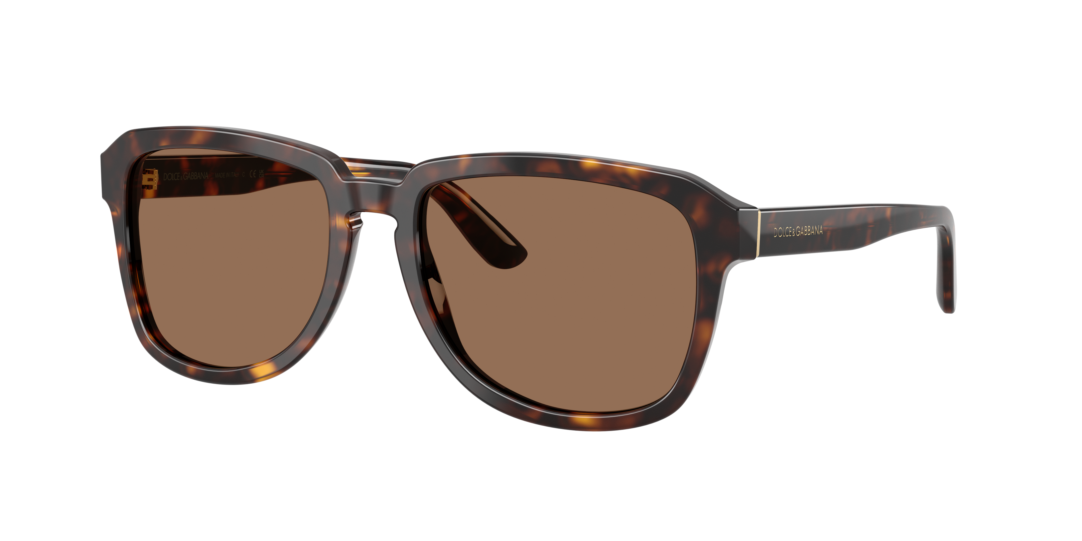 Dolce & Gabbana DG4566 502/73