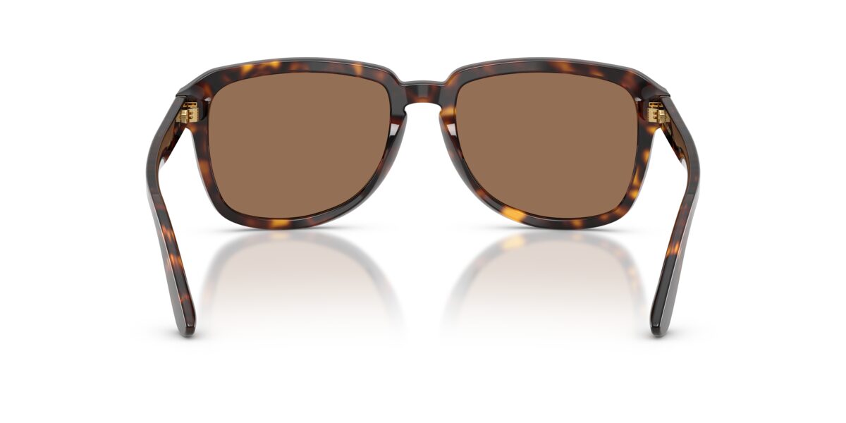 Dolce & Gabbana DG4566 502/73