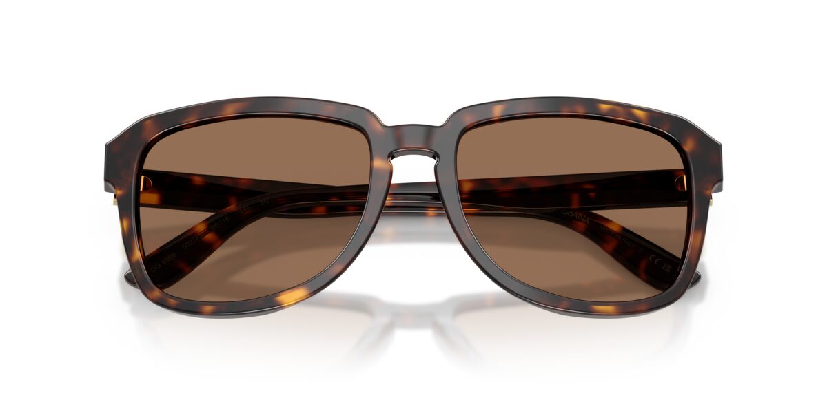 Dolce & Gabbana DG4566 502/73