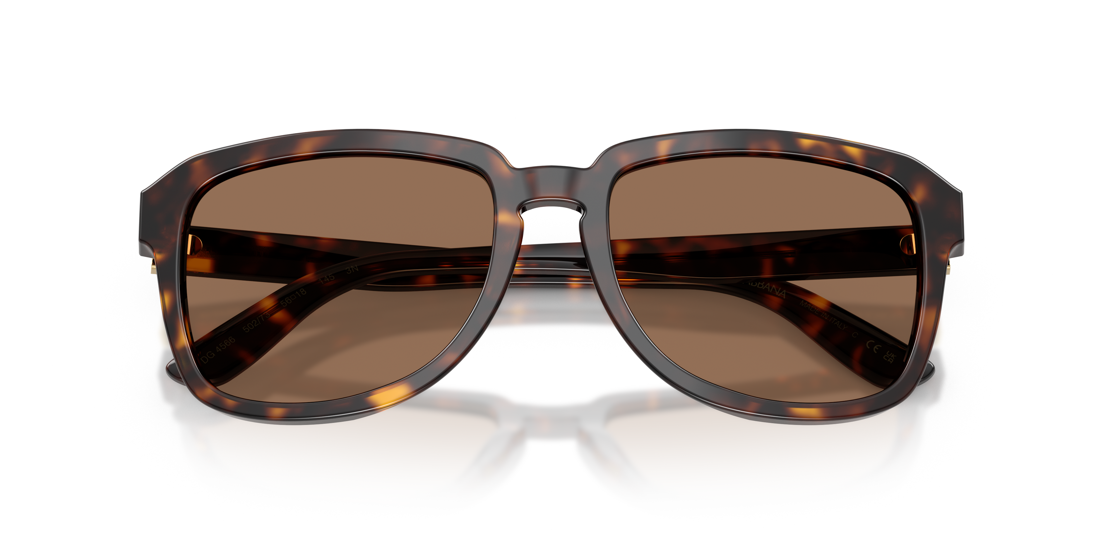 Dolce & Gabbana DG4566 502/73