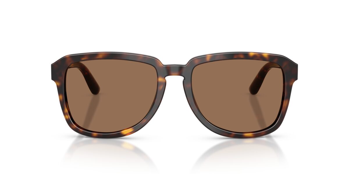Dolce & Gabbana DG4566 502/73