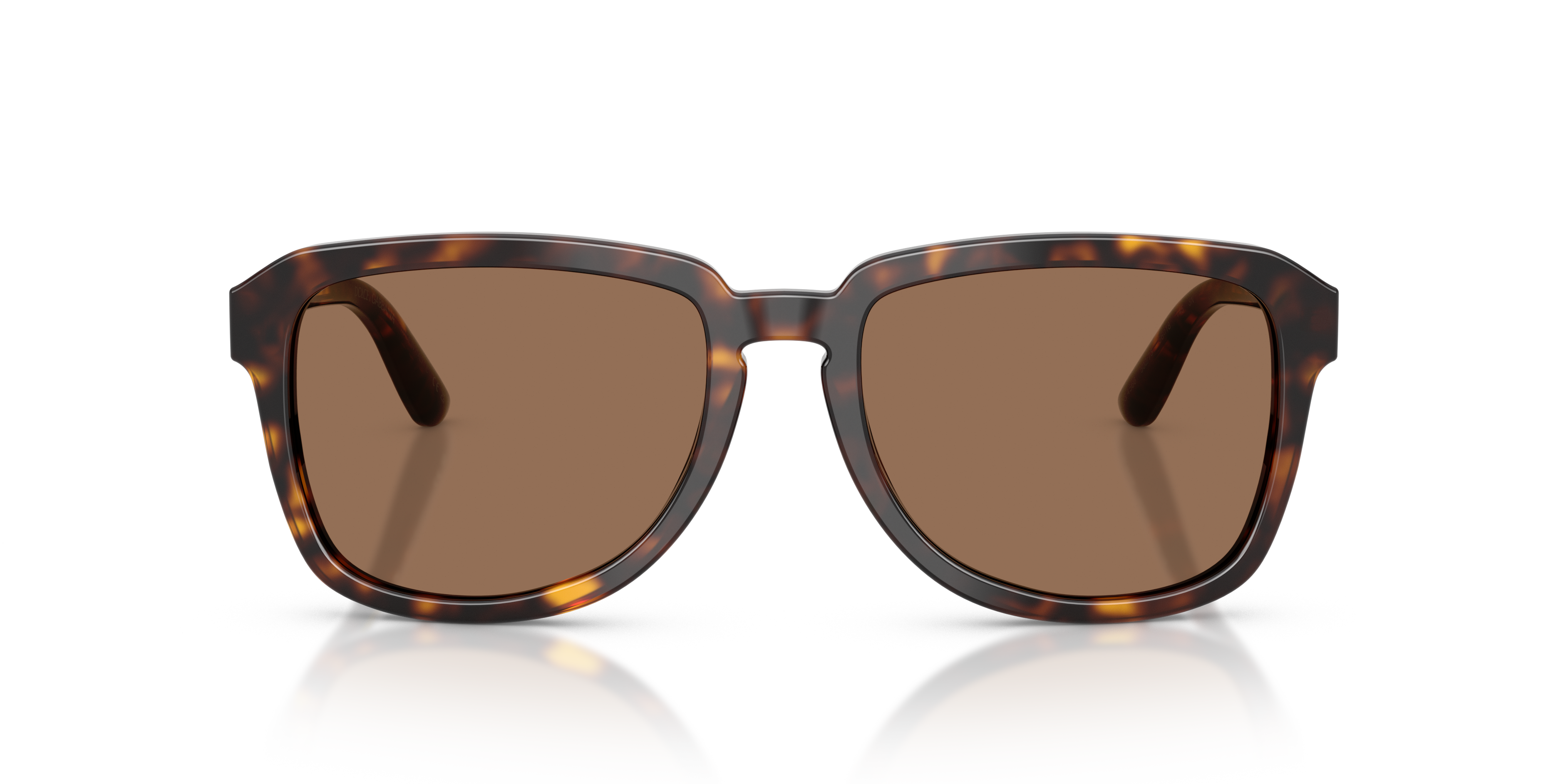 Dolce & Gabbana DG4566 502/73