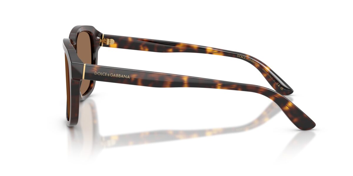 Dolce & Gabbana DG4566 502/73