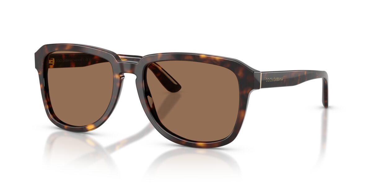 Dolce & Gabbana DG4566 502/73
