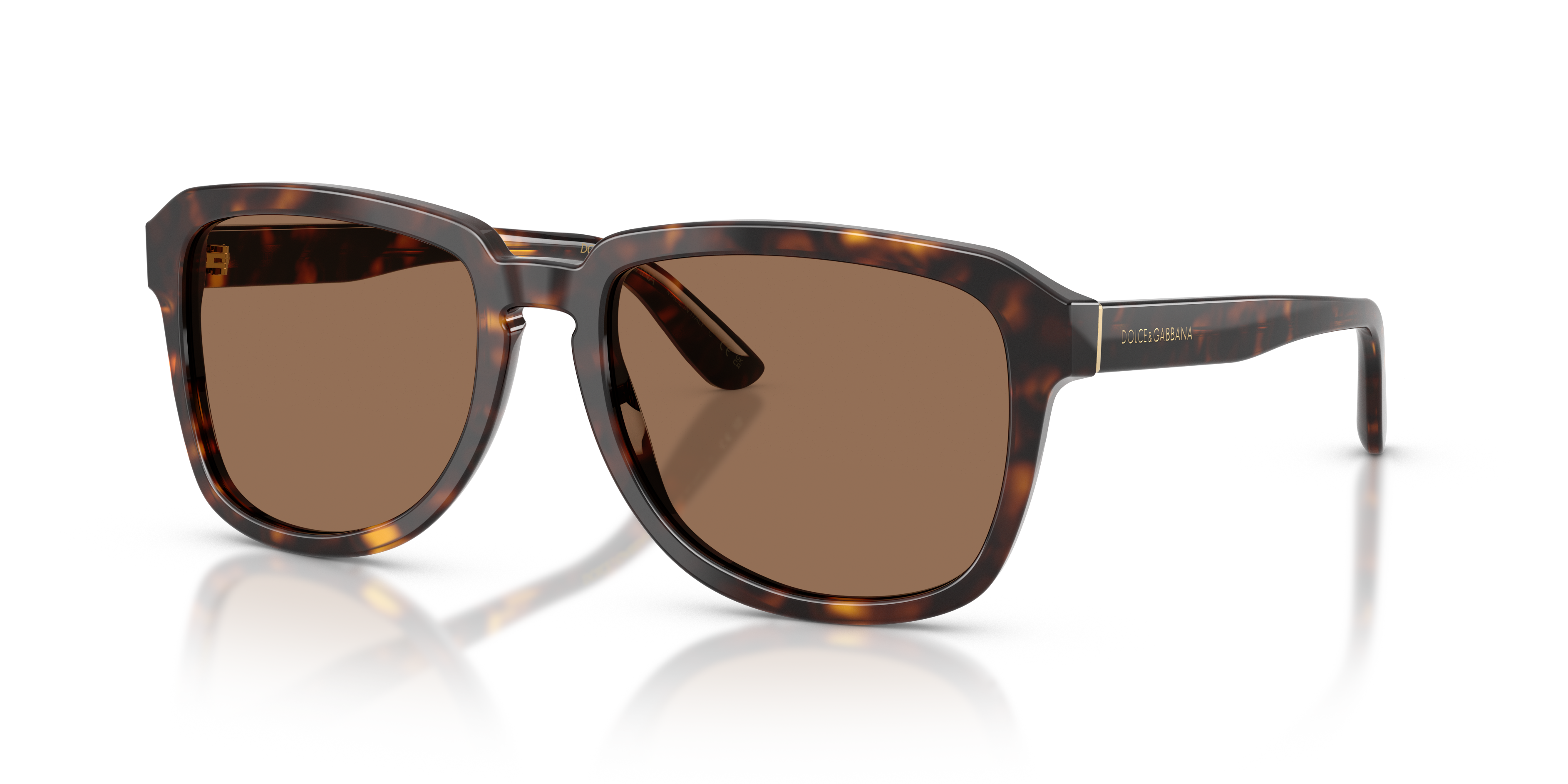 Dolce & Gabbana DG4566 502/73