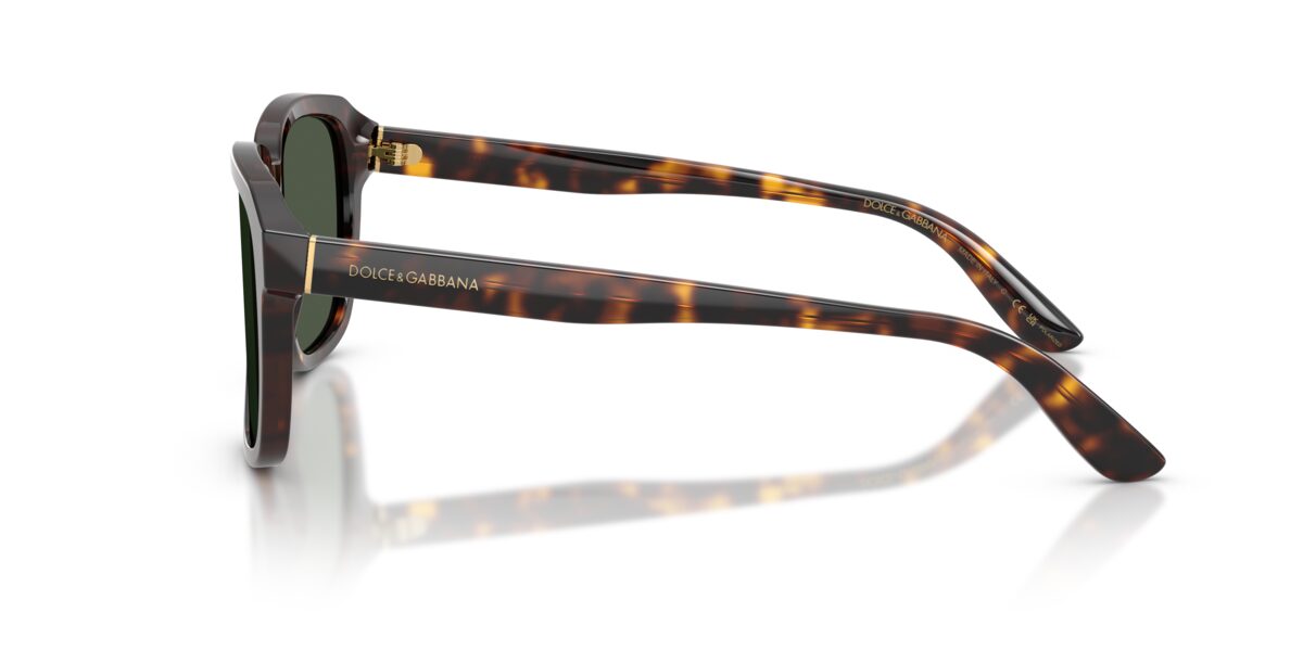 Dolce & Gabbana DG4566 502/9A