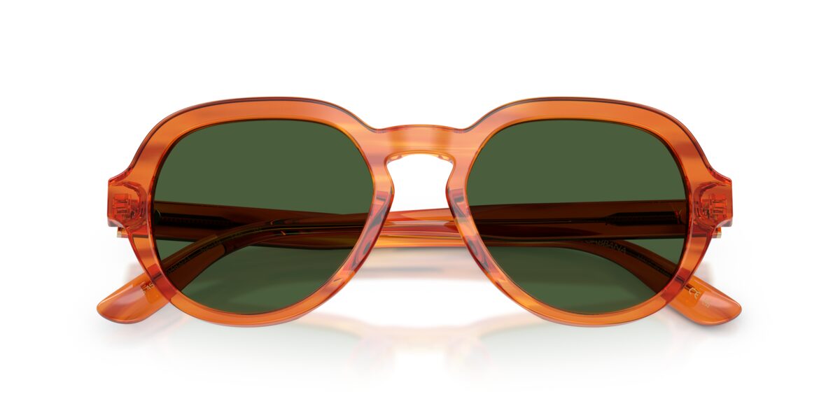Dolce & Gabbana DG4567 348371