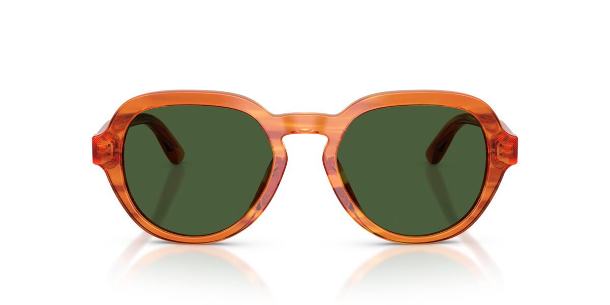 Dolce & Gabbana DG4567 348371