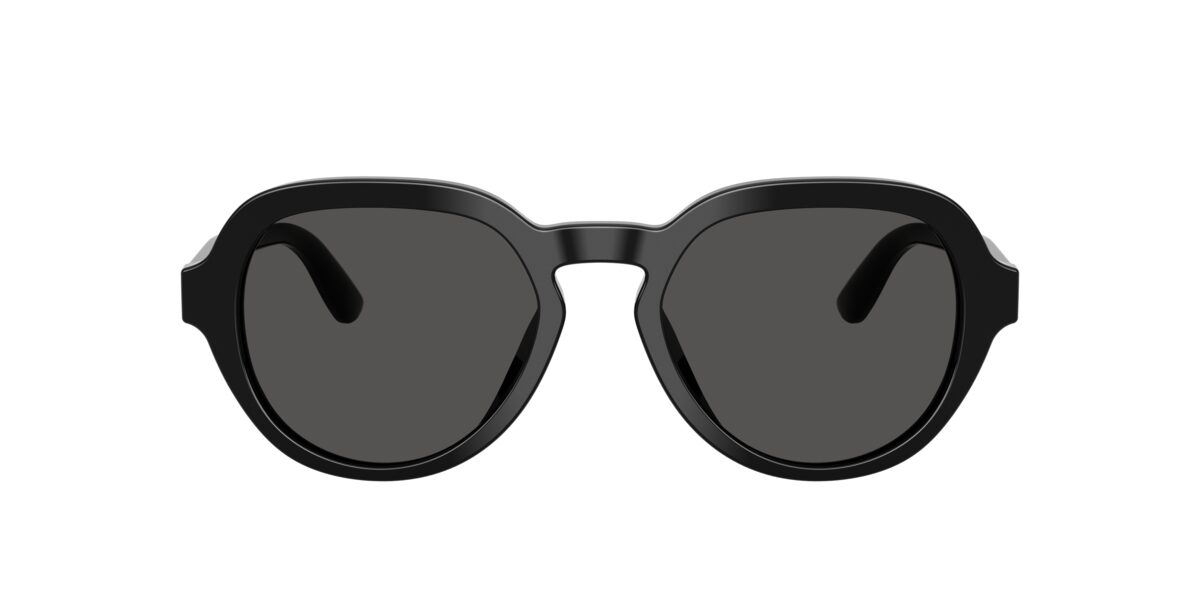 Dolce & Gabbana DG4567 501/87