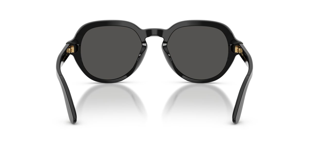 Dolce & Gabbana DG4567 501/87