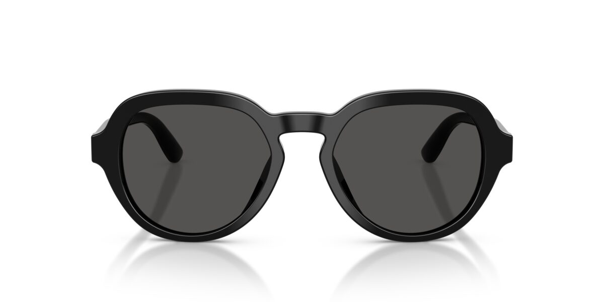 Dolce & Gabbana DG4567 501/87
