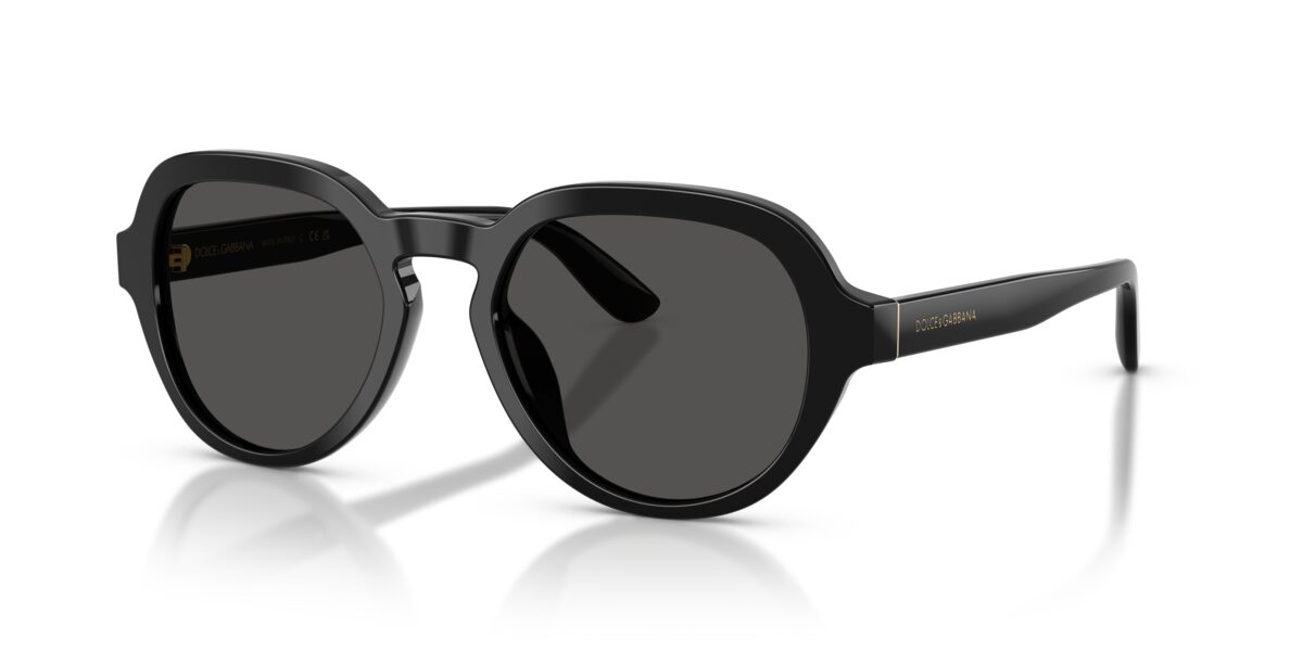 Dolce & Gabbana DG4567 501/87