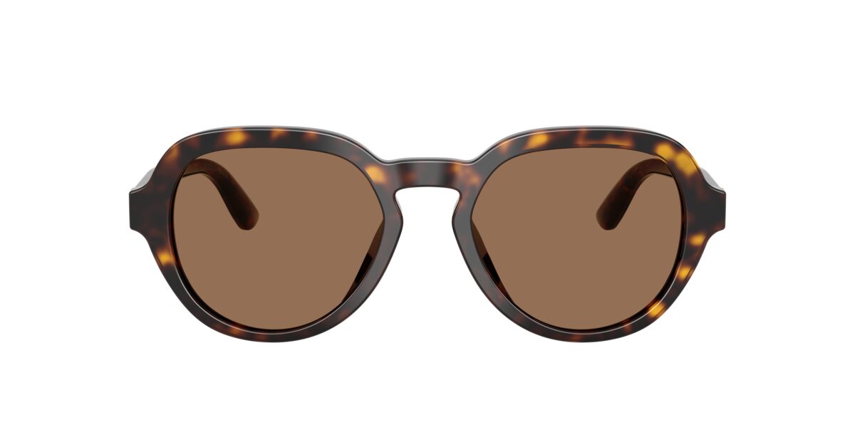 Dolce & Gabbana DG4567 502/73