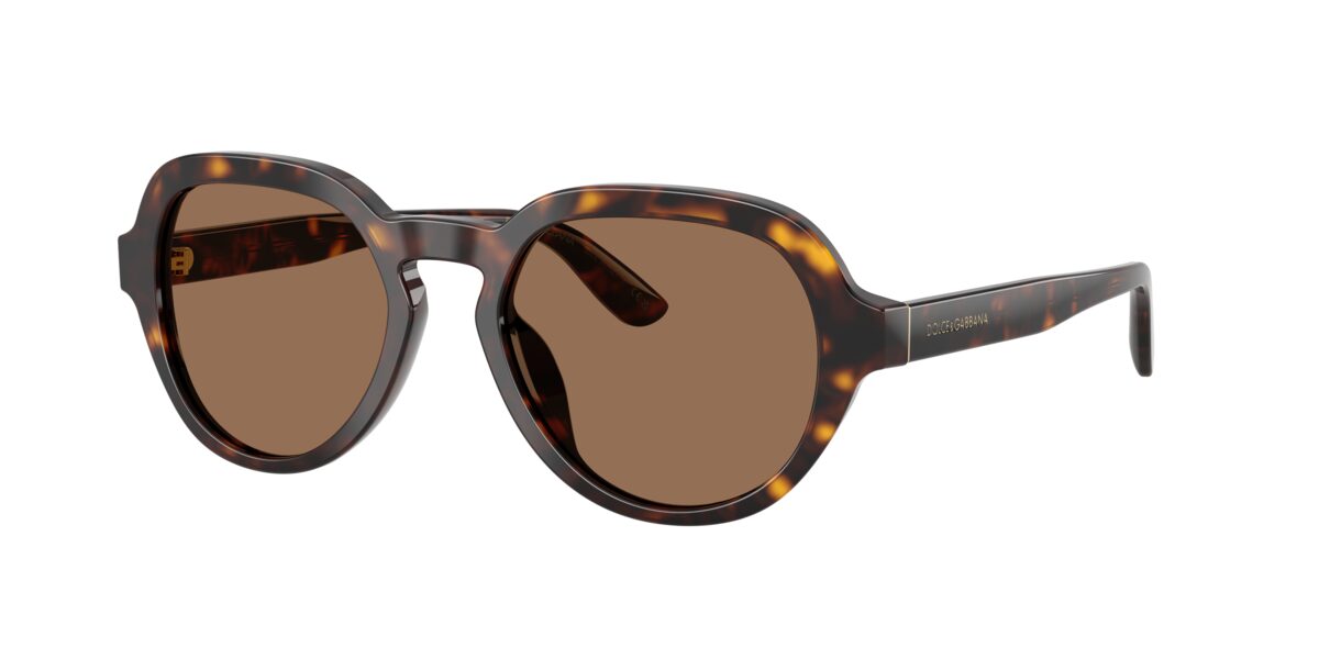 Dolce & Gabbana DG4567 502/73