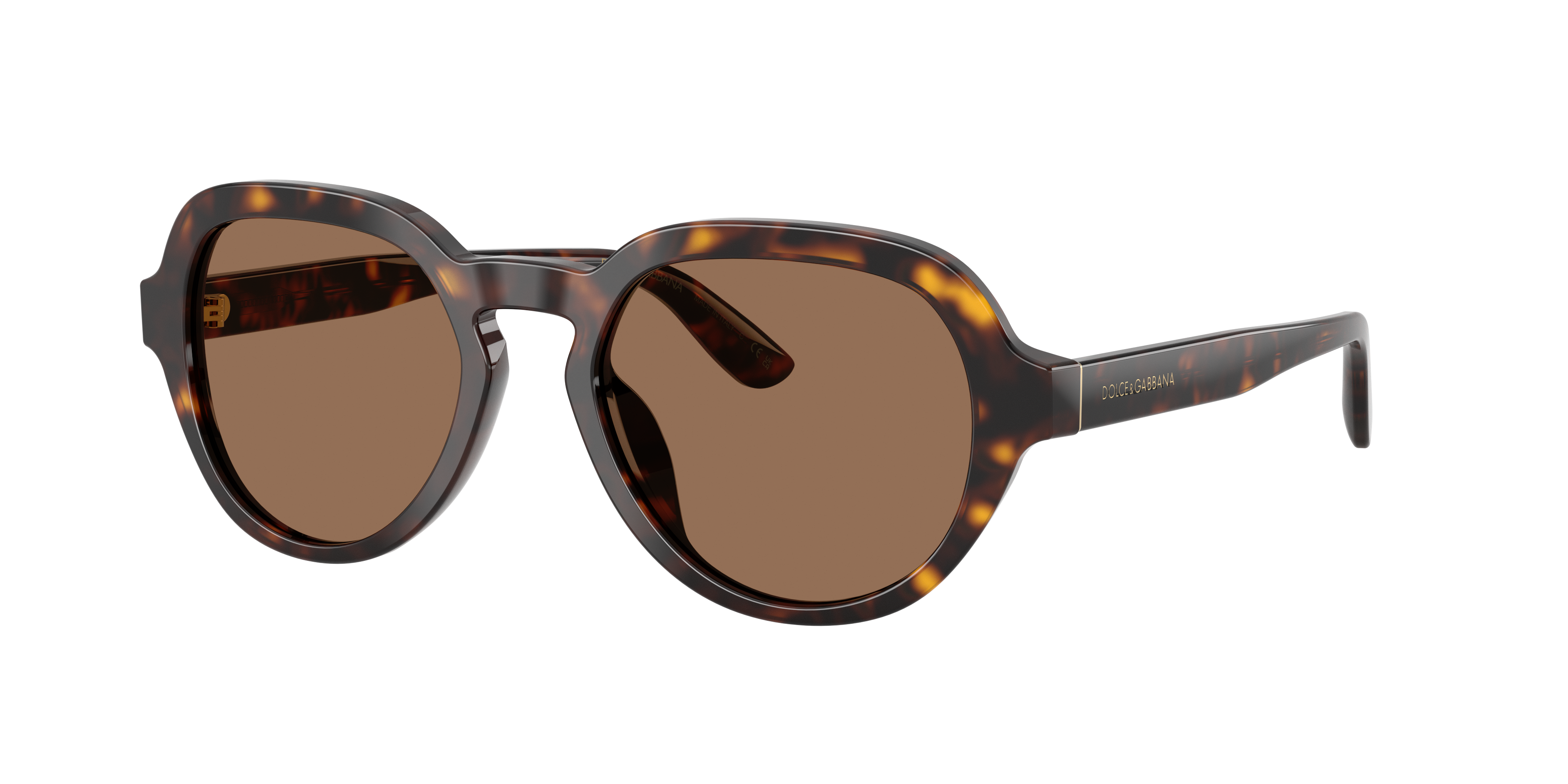 Dolce & Gabbana DG4567 502/73
