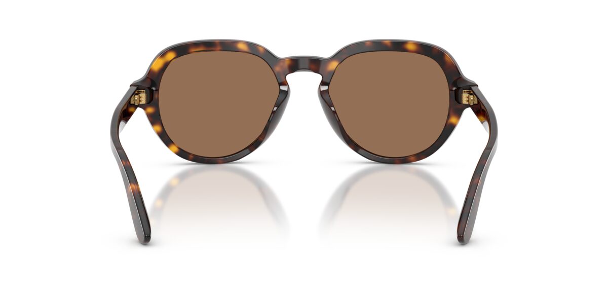 Dolce & Gabbana DG4567 502/73