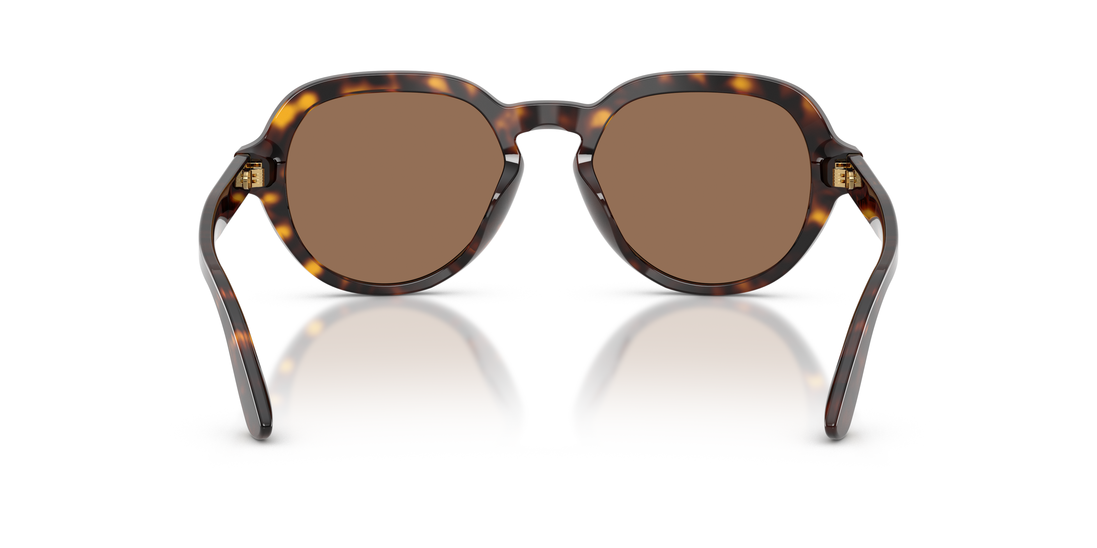 Dolce & Gabbana DG4567 502/73
