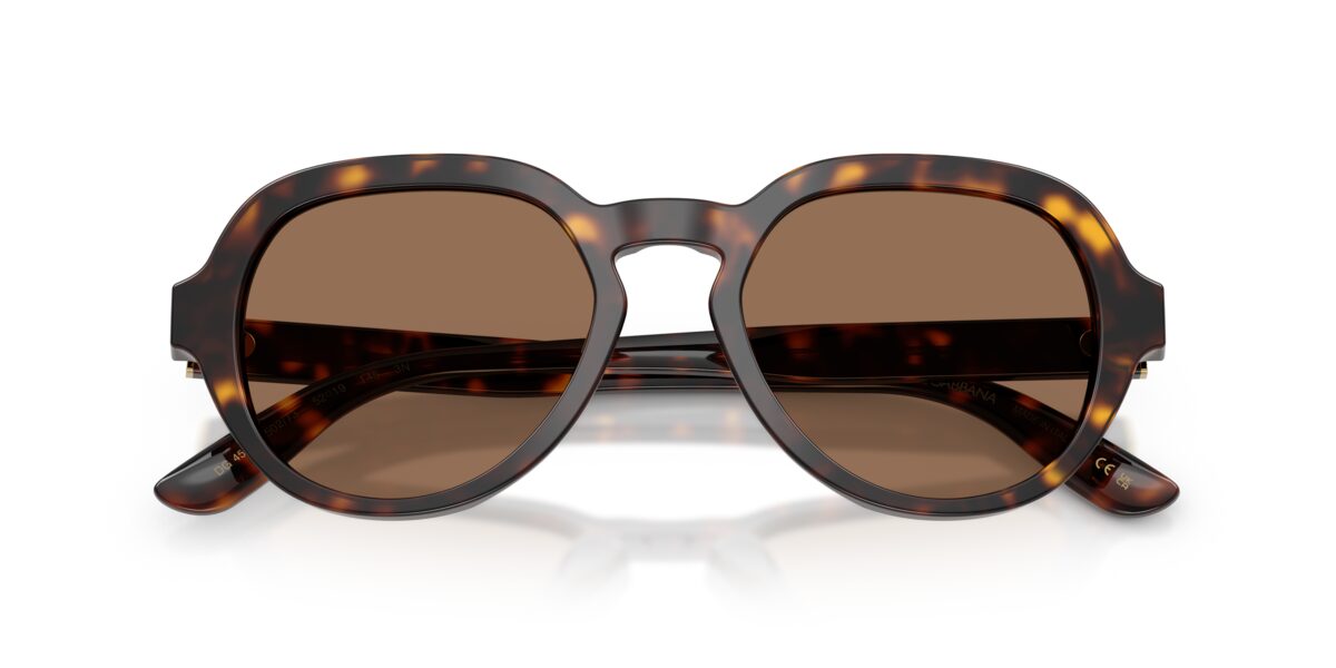 Dolce & Gabbana DG4567 502/73